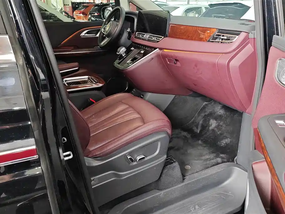 Hongqi HQ9 PHEV 2024 Model 2.0T AWD Luxury Edition фото 8