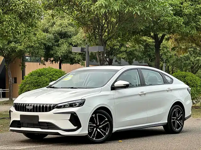 GEELY AUTOMOBILE BINRUI