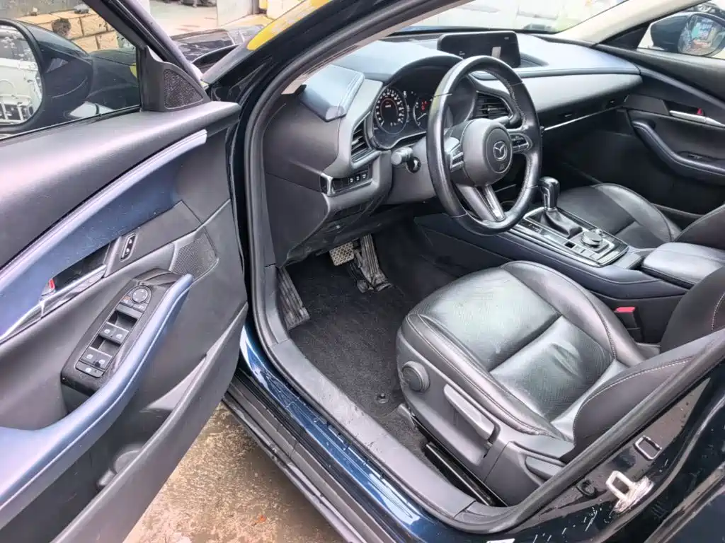 Mazda CX-30 2021 2021 2.0L Auto Elegant Joy Type