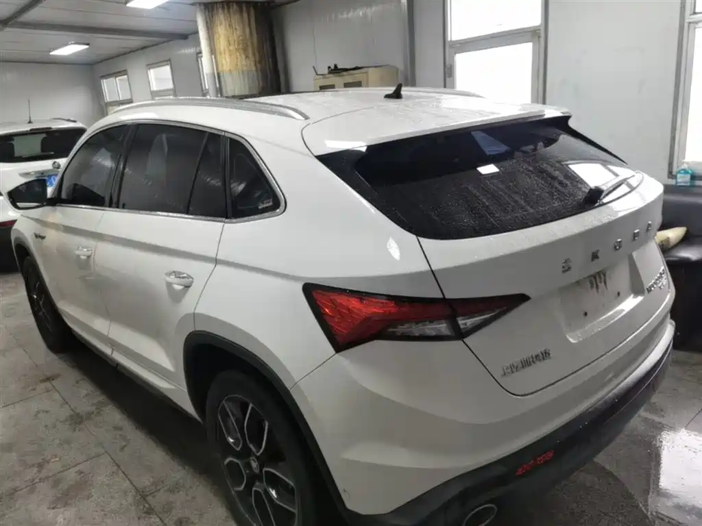 Škoda Kodiaq GT 2019 TSI330 2WD Luxury Edition China VI фото 5