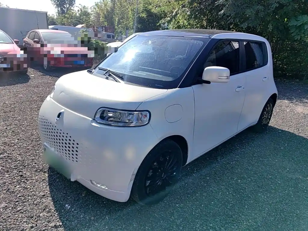 Ora White Cat 2020 2020 360km Luxury Model
