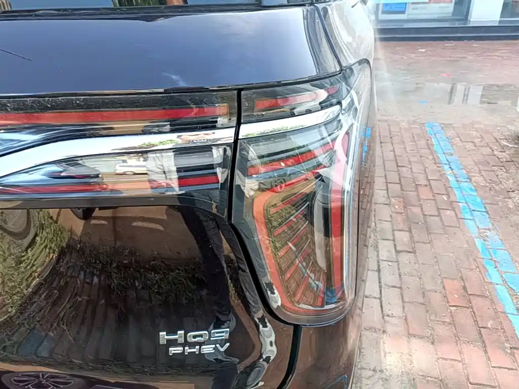 Hongqi HQ9 PHEV 2024 Model 2.0T AWD Luxury Edition фото 8