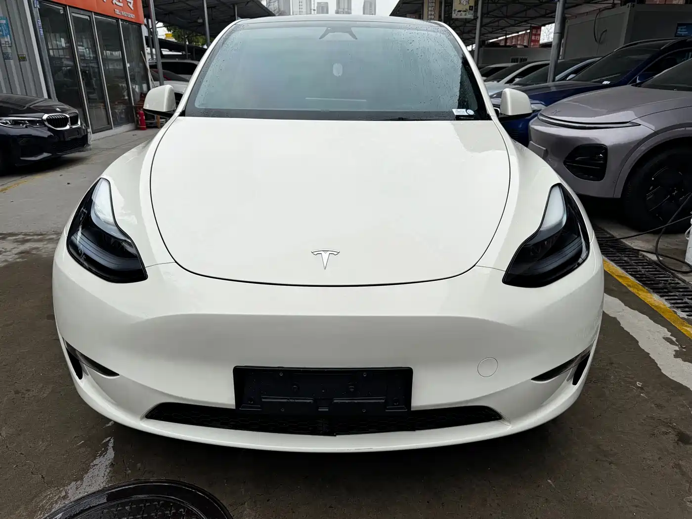 TESLA MODEL Y