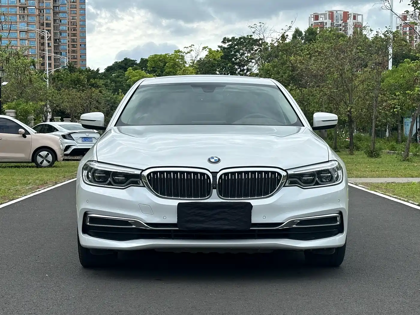 BMW 5 Series 2020 530Li Premium Luxury Package фото 2