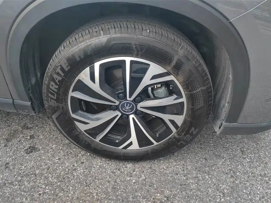 BYD Song Pro New Energy 2025 2nd Generation Smart Drive Edition DM-i 75KM Leading Type фото 6