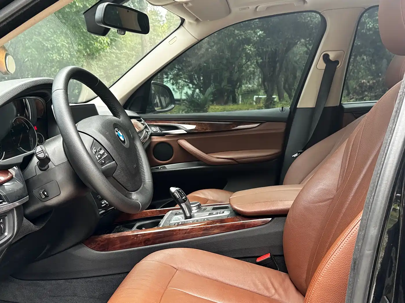 BMW X5 (Import) 2017 xDrive35i Elegance фото 5