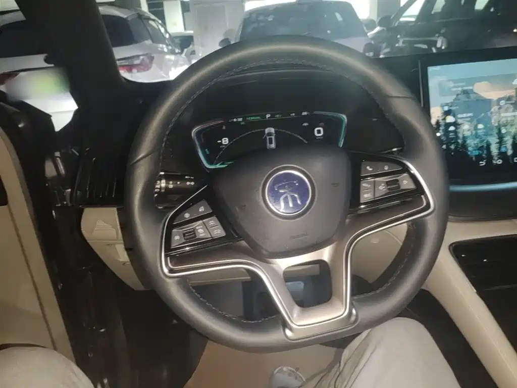 BYD Song PLUS PHEV 2021 DM-i 110KM Flagship фото 11