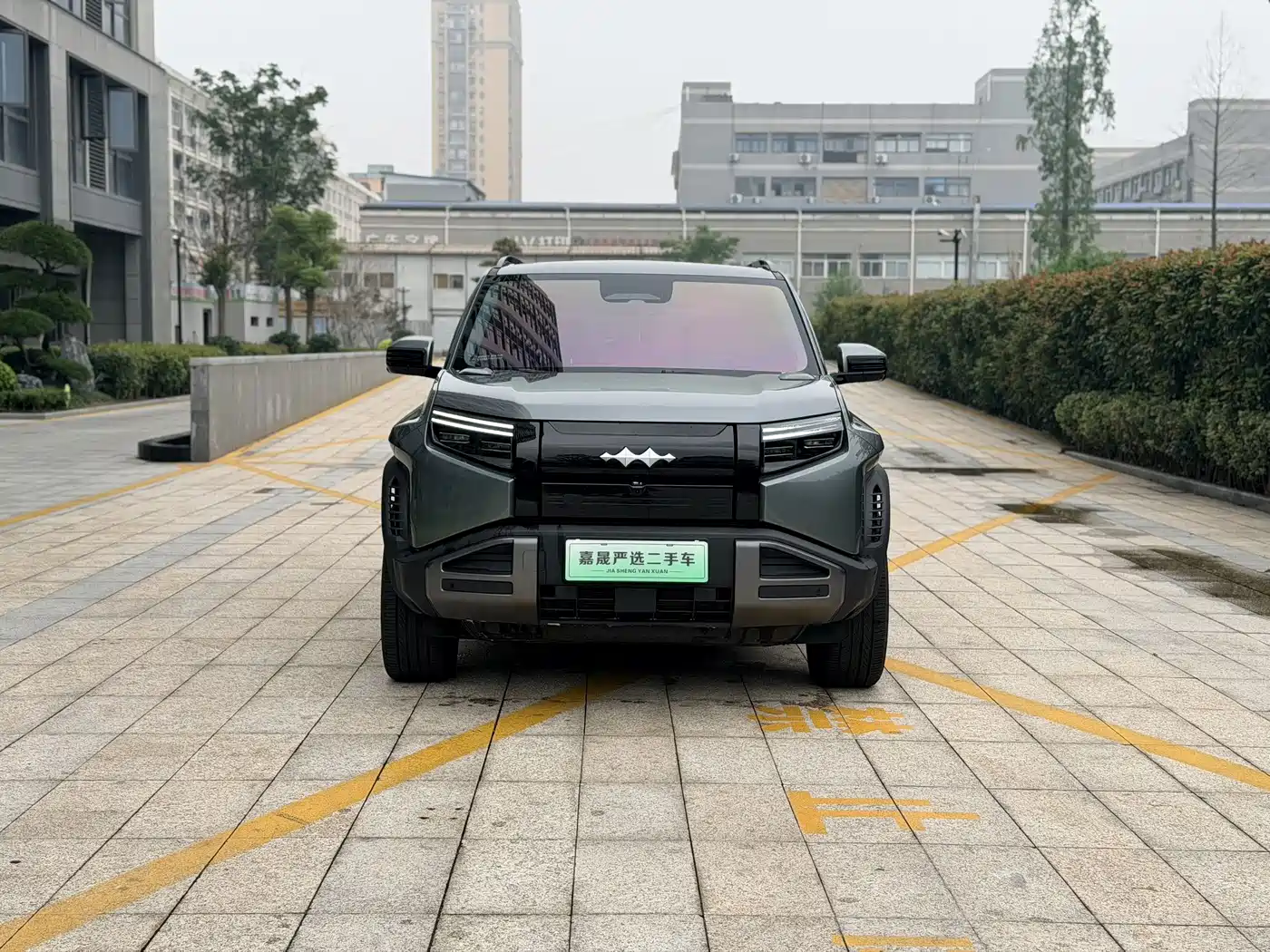 2025 Fang Cheng Bao Titanium 3