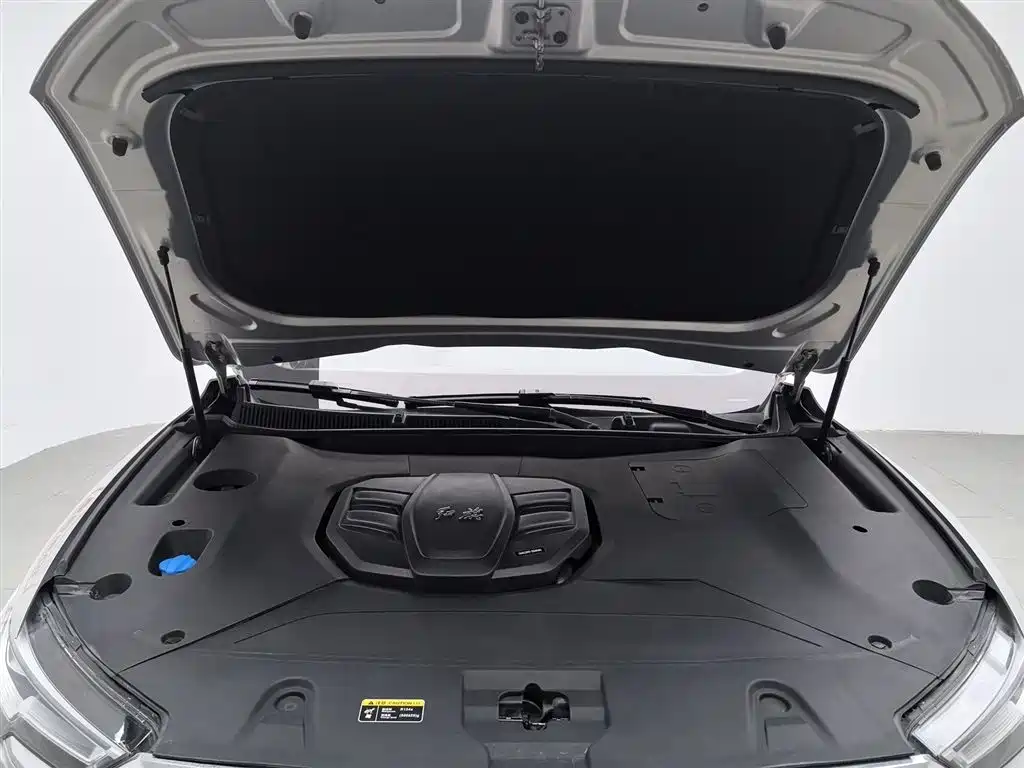 Hongqi HS5 2019 2.0T Smart Connect Enjoy Edition фото 6
