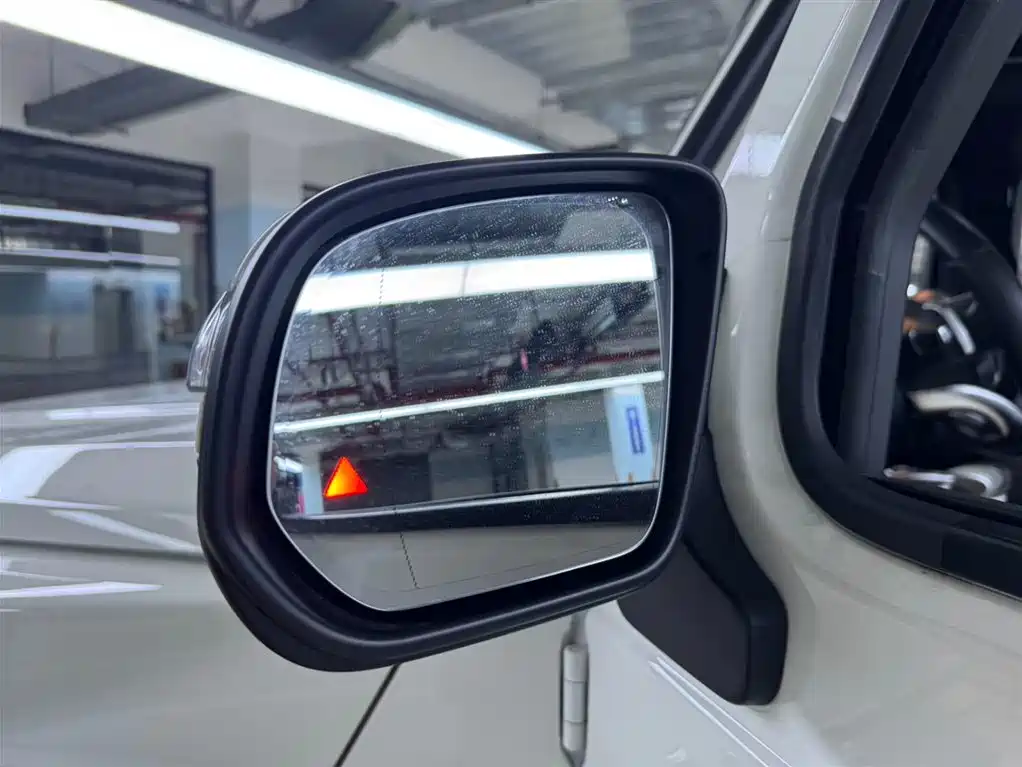 Mercedes-Benz G-Class 2020 G 500 фото 19