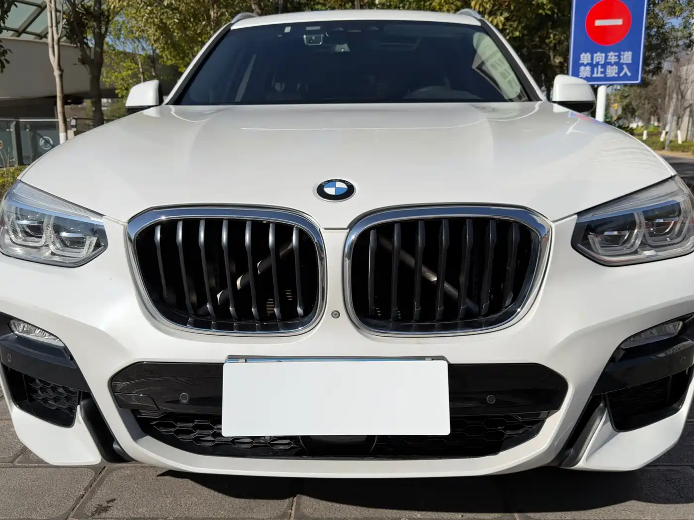 BMW X3 2018 xDrive30i Leading M Sport Package China V фото 14
