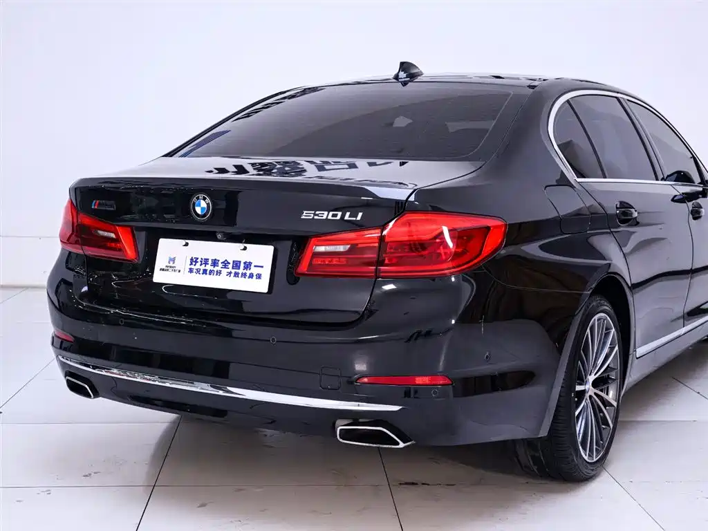 BMW 5 Series 2020 Model 530Li Executive Luxury Package фото 8