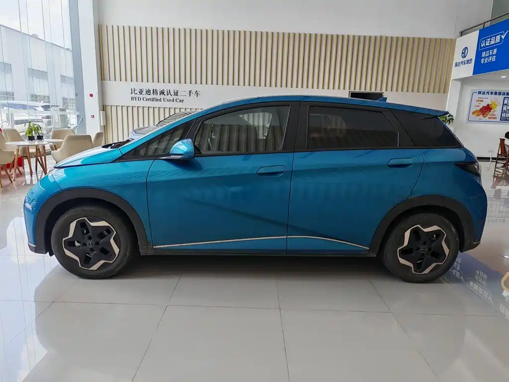 Фото 4 - BYD Dolphin