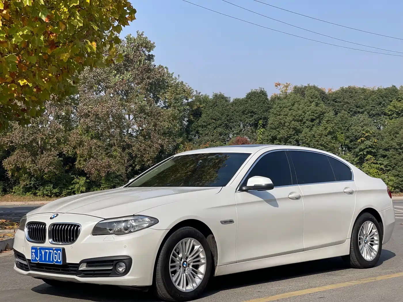 BMW 5 Series 2014 525Li Leading
