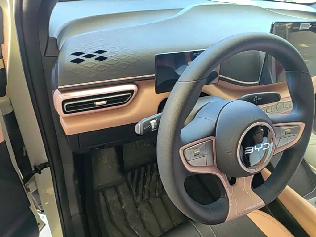 BYD Seagull 2026 2025 Smart Drive Edition 305km Vitality Version