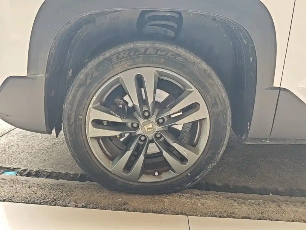 Photo 23 - Baojun RS-5