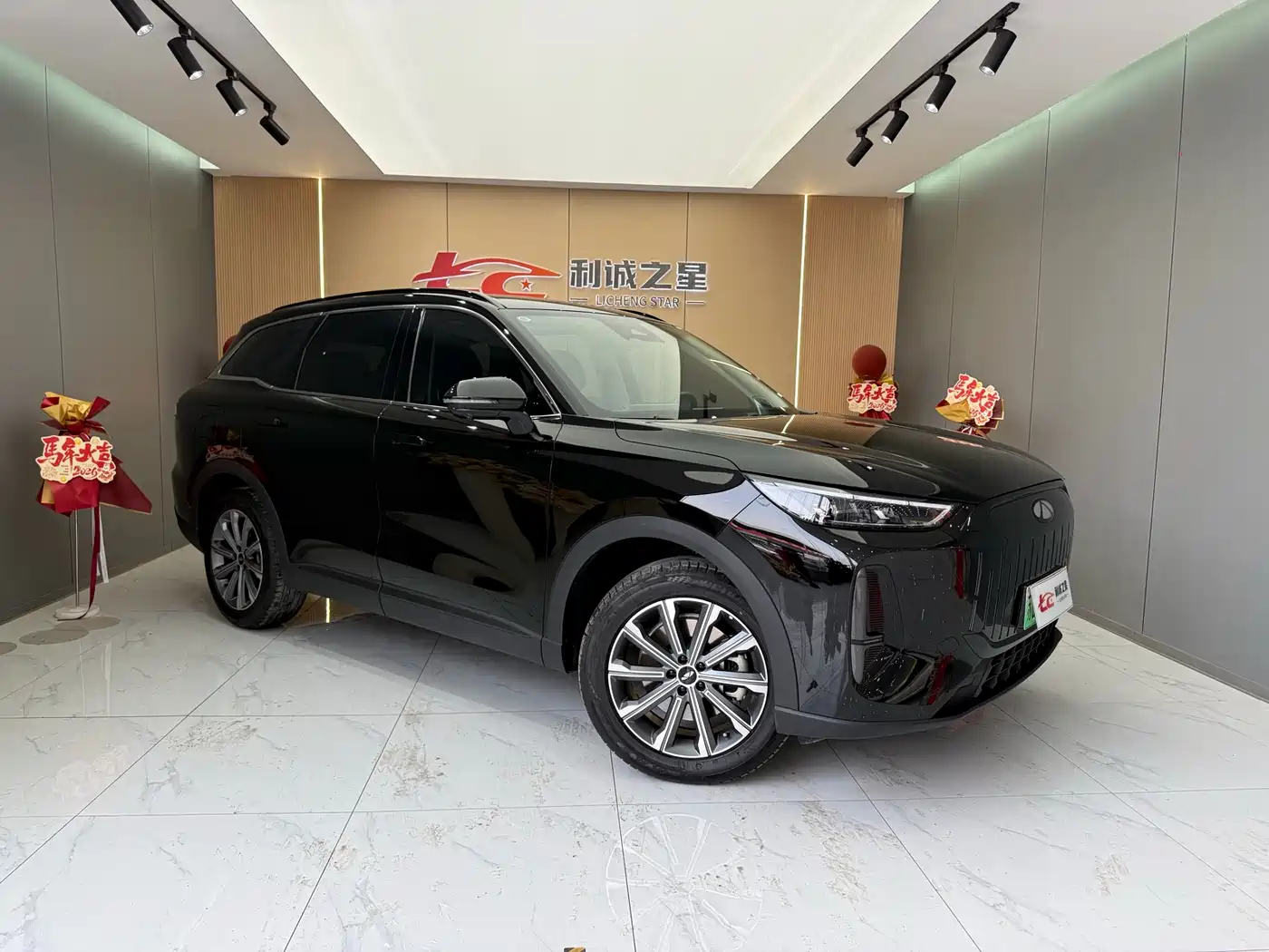 CHERY FENGYUN T9