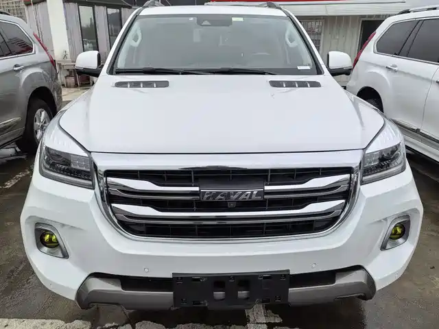 HAVAL H9
