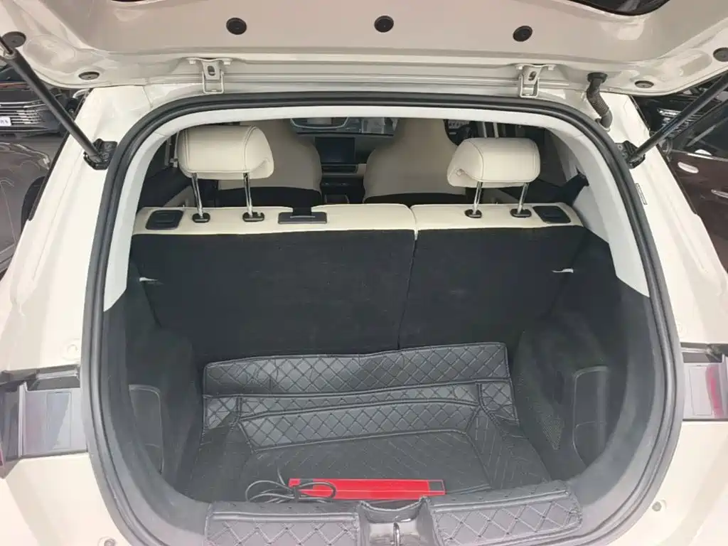 Wuling Motors Wuling Binguo PLUS 2025 2024 Model 330km 5-Seater
