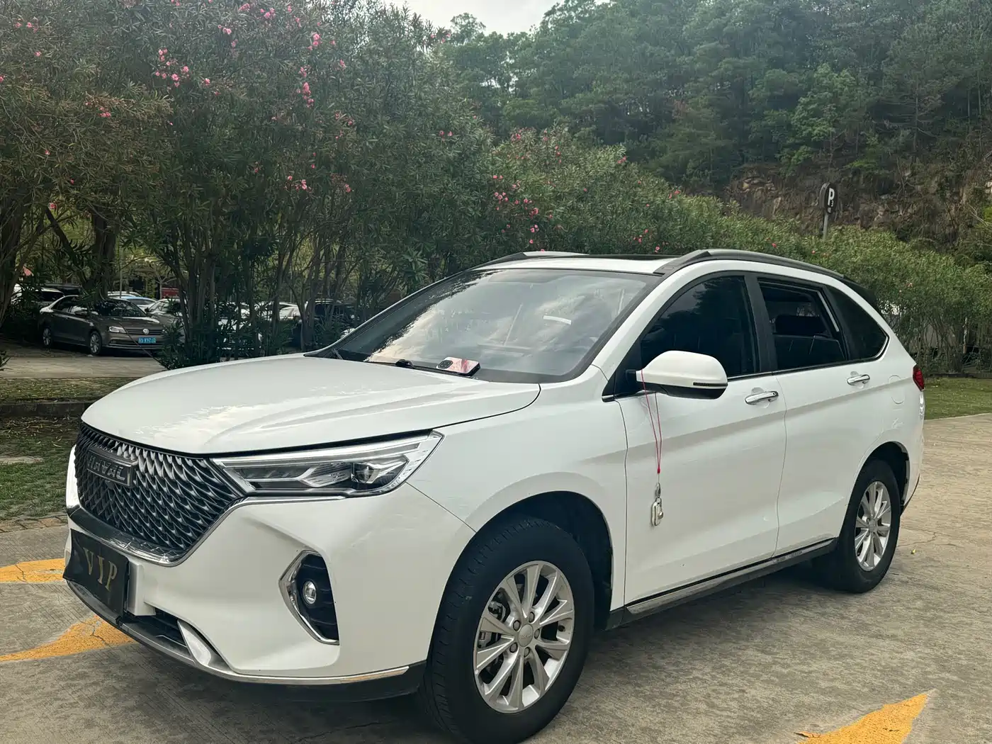HAVAL M6