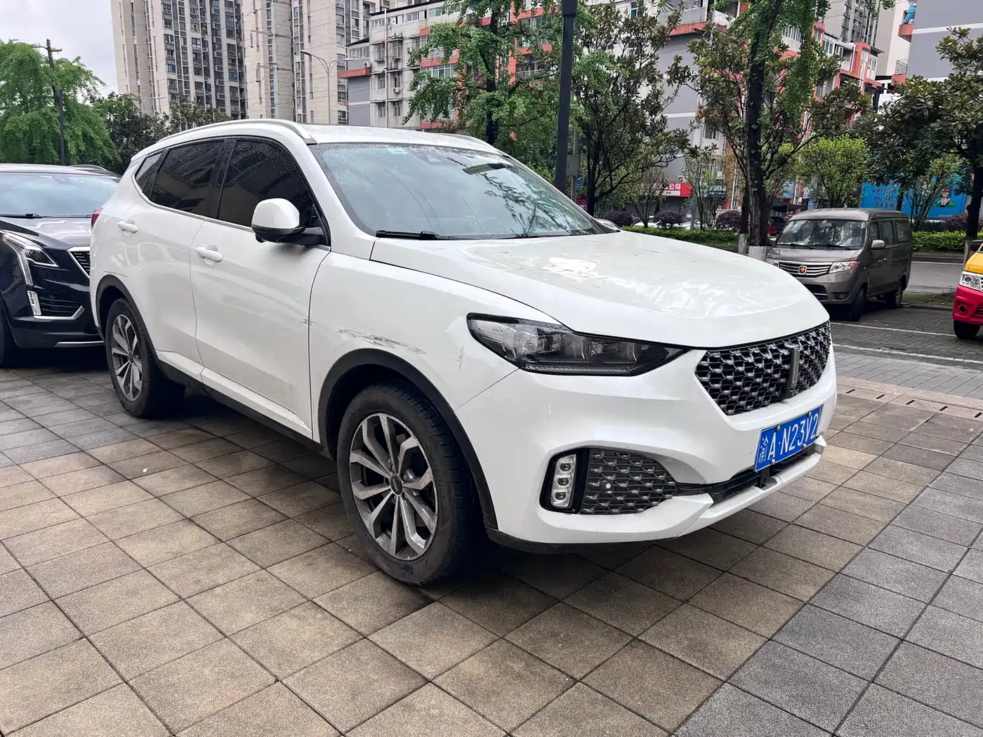 WEI PAI WEI BRAND VV6