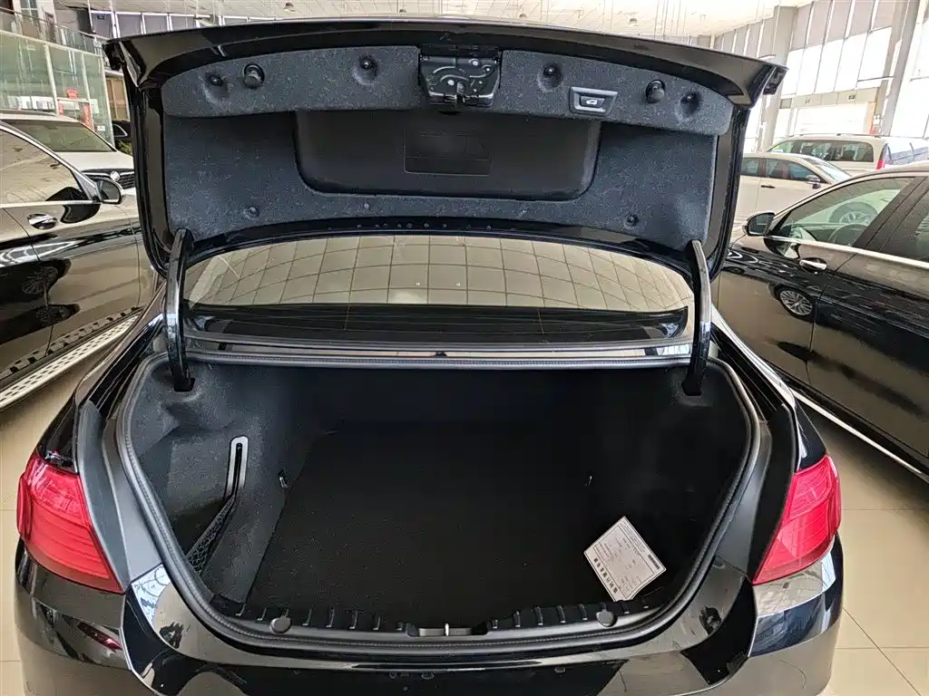 BMW 5 Series 2017 525Li Luxury Design Package фото 15