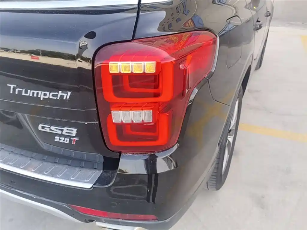 GAC Trumpchi Trumpchi GS8 2017 320T 2WD Luxury Smart Connect (7-seater) фото 8