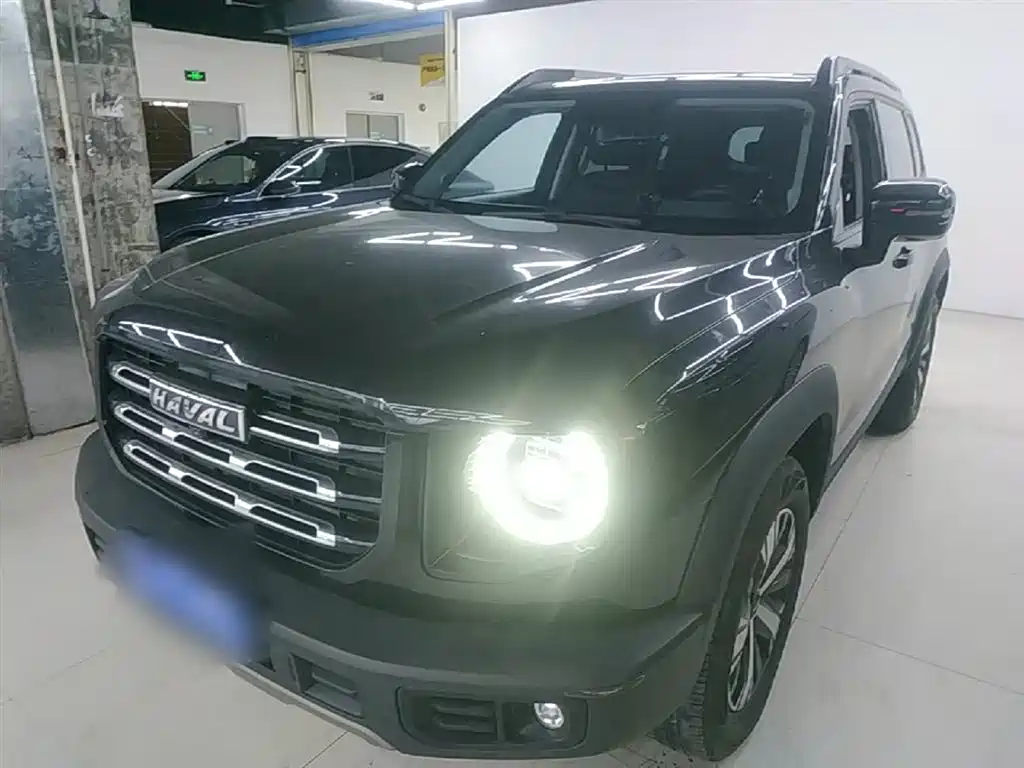 Haval Big Dog 2021 1.5T DCT 2WD Labrador Edition