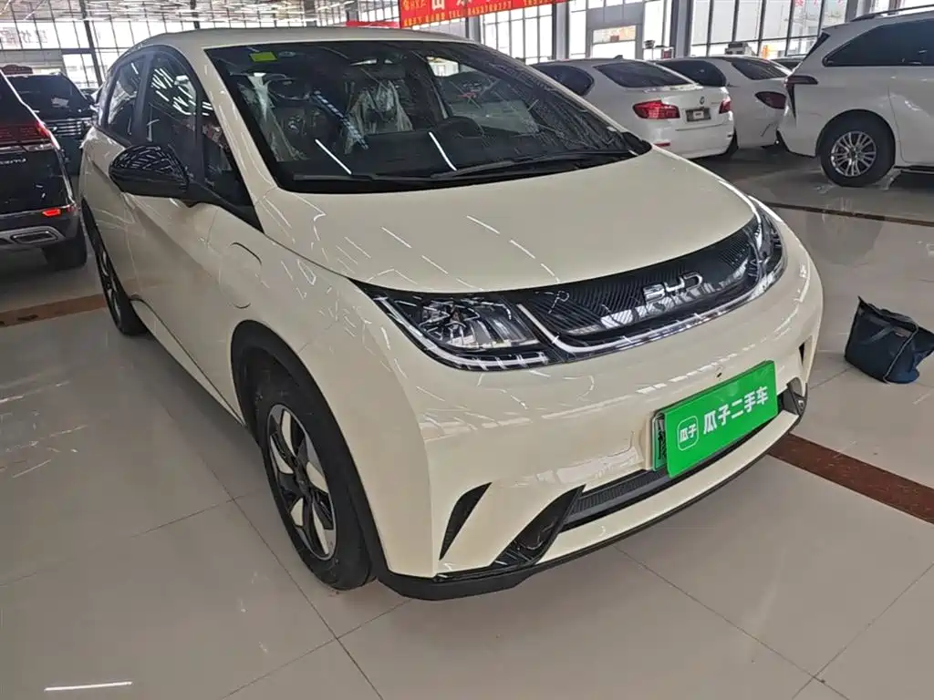 BYD Dolphin 2025 420km Freedom Edition фото 4