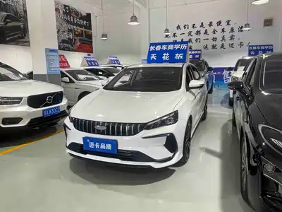 Geely Binrui