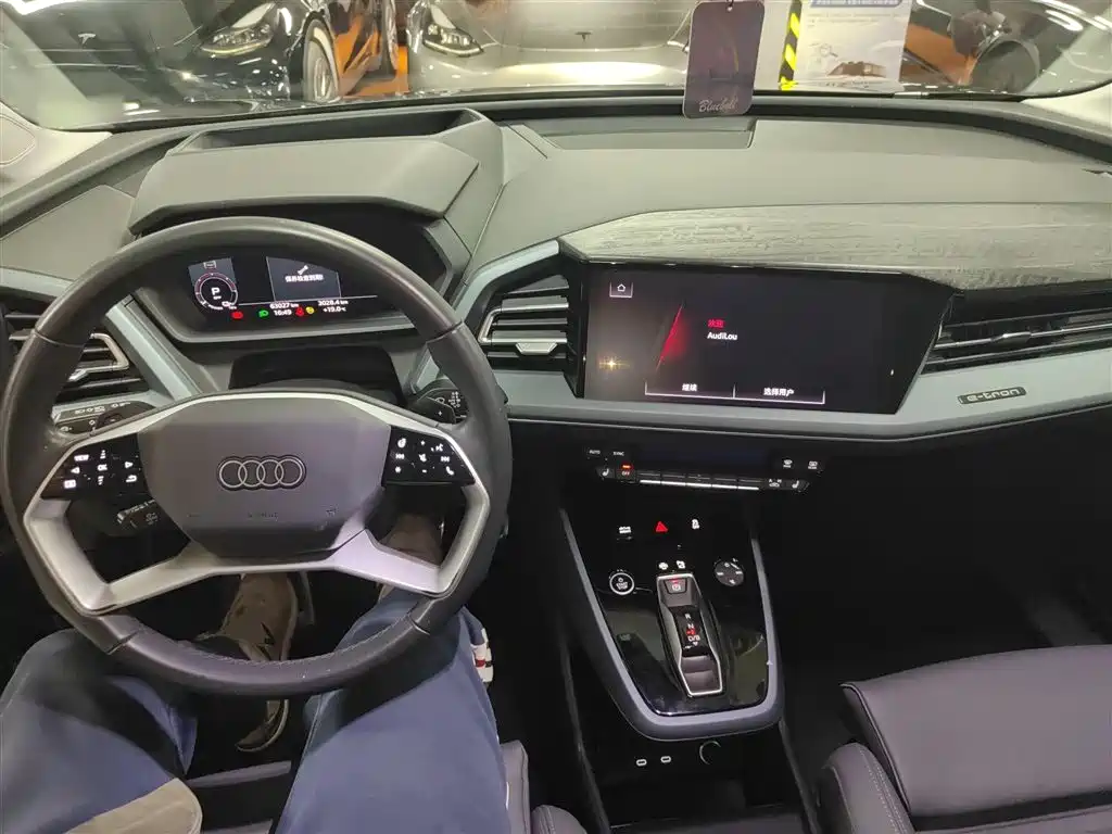 Audi Q5 e-tron 2022 40 e-tron Starlight Edition Brocade Package фото 10