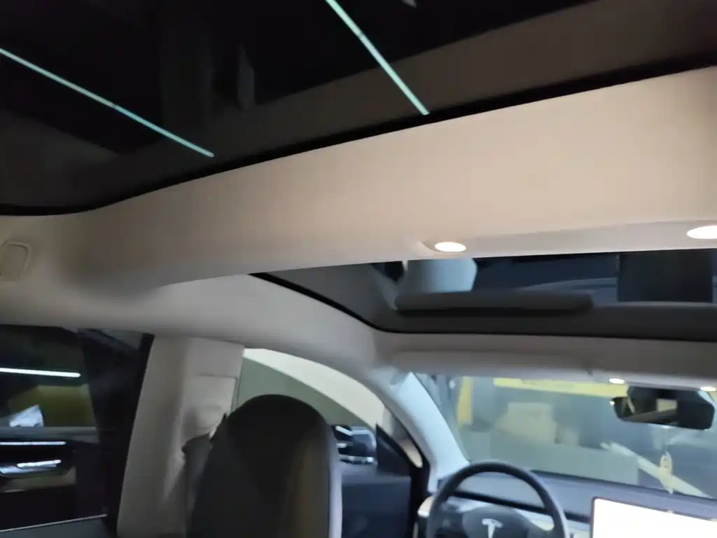 Tesla Model 3 2020 2020 Standard Range Rear-Wheel Drive Upgrade