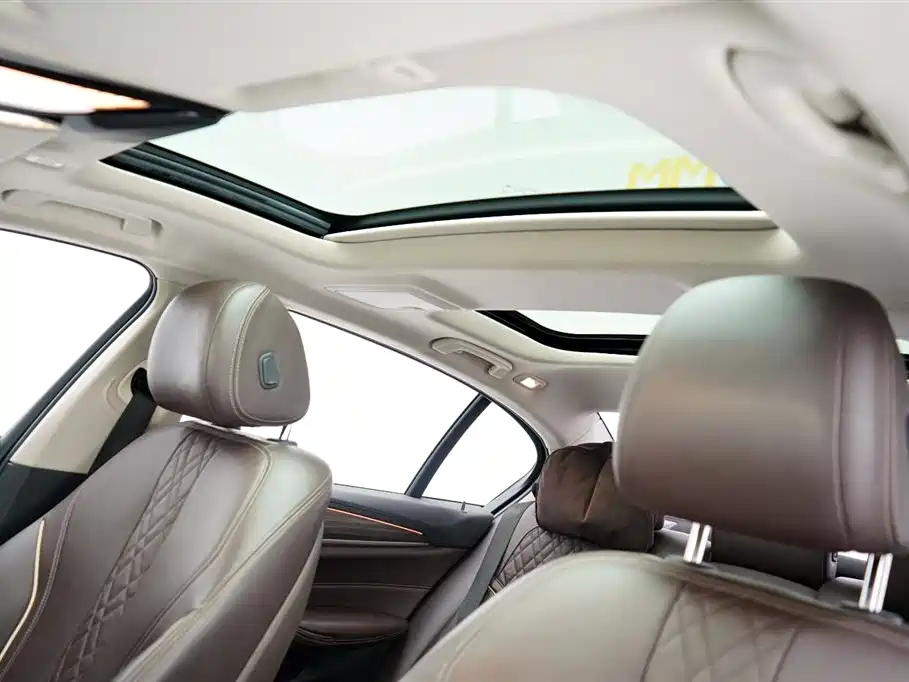 BMW 5 Series 2019 Facelift 530Li Premium Luxury Package фото 7