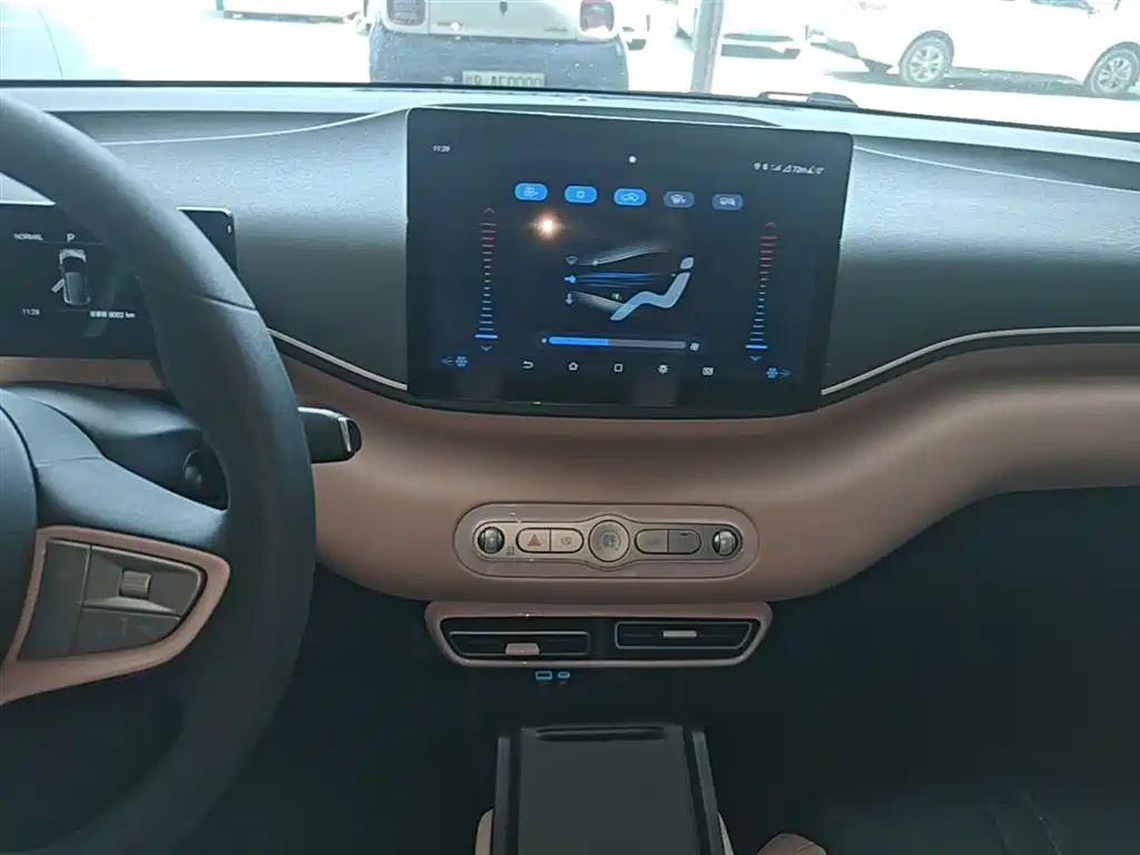 BYD Seagull 2025 Smart Drive Edition 305km Vitality Version фото 13