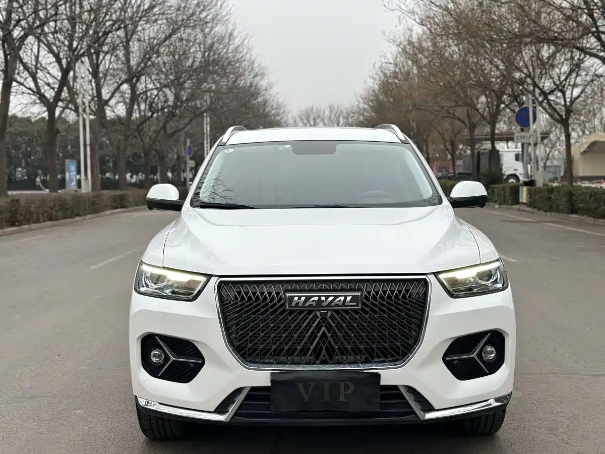 Haval H6 2020 1.5GDIT Automatic Platinum Comfort Edition фото 2