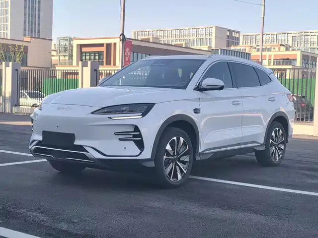 BYD SONGJIANG NEW ENERGY