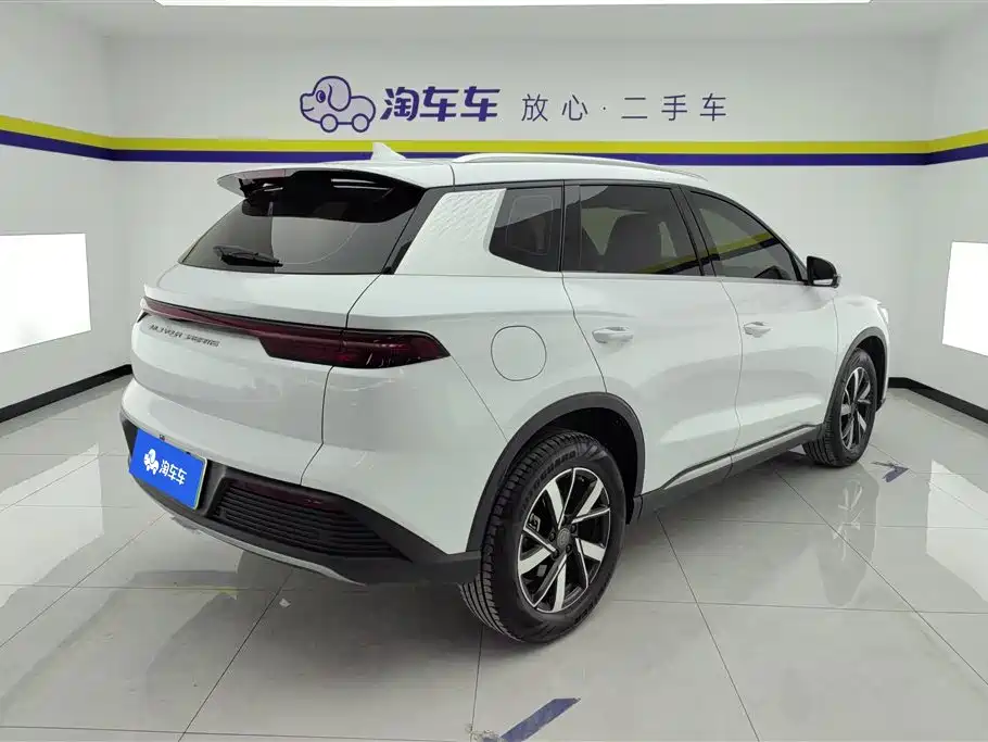 BYD Song Pro New Energy 2024 Glory Edition DM-i 71KM Pilot фото 3