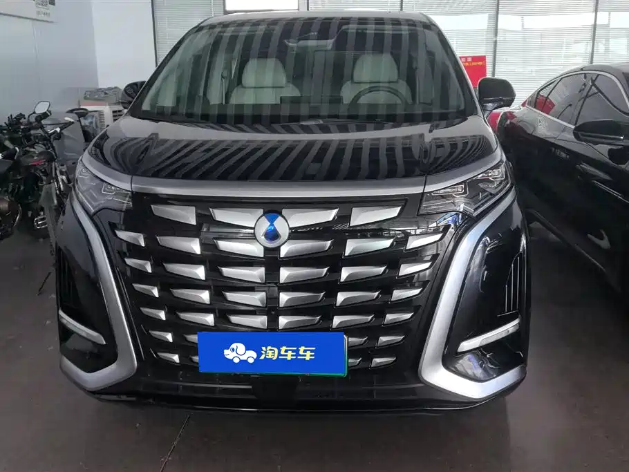 Denza D9 2022 DM-i 970 All-Wheel Drive Honor Edition фото 2