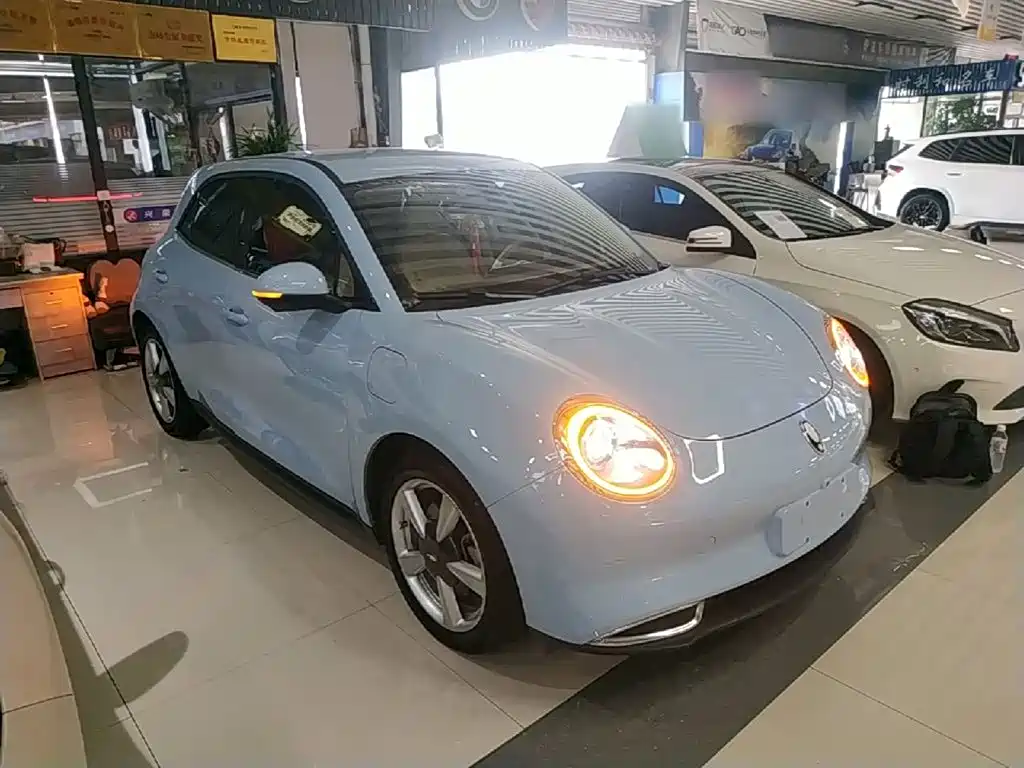 Ora Good Cat 2024 2023 401km Standard Range Luxury LFP