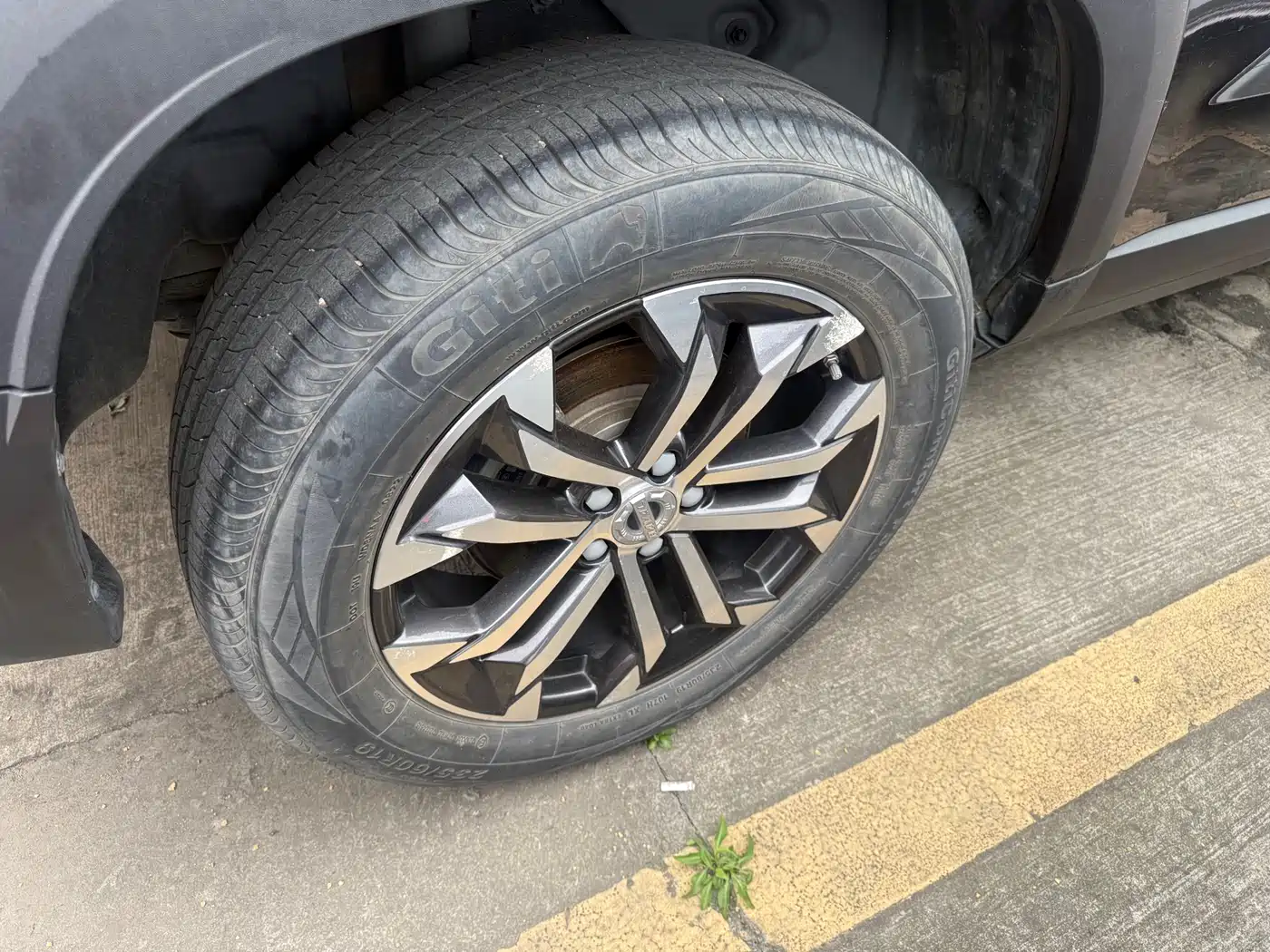 Haval Big Dog 2021 1.5T DCT 2WD Border Collie Edition фото 11