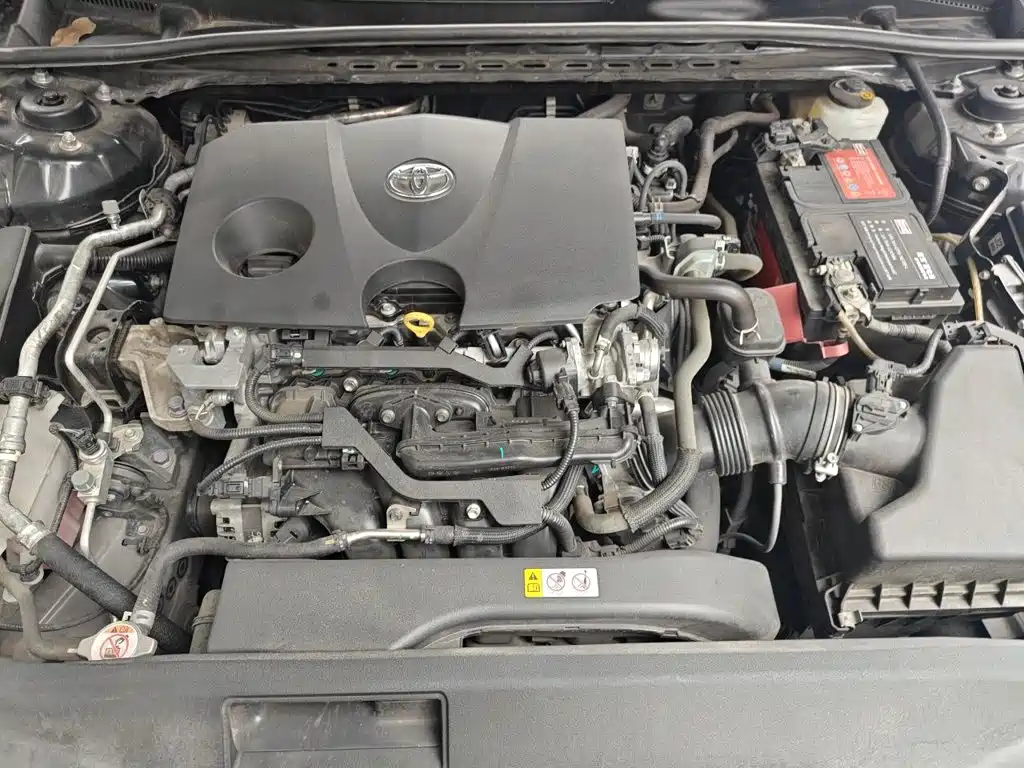 Toyota Avalon 2020 2019 2.0L Luxury Edition (China VI)