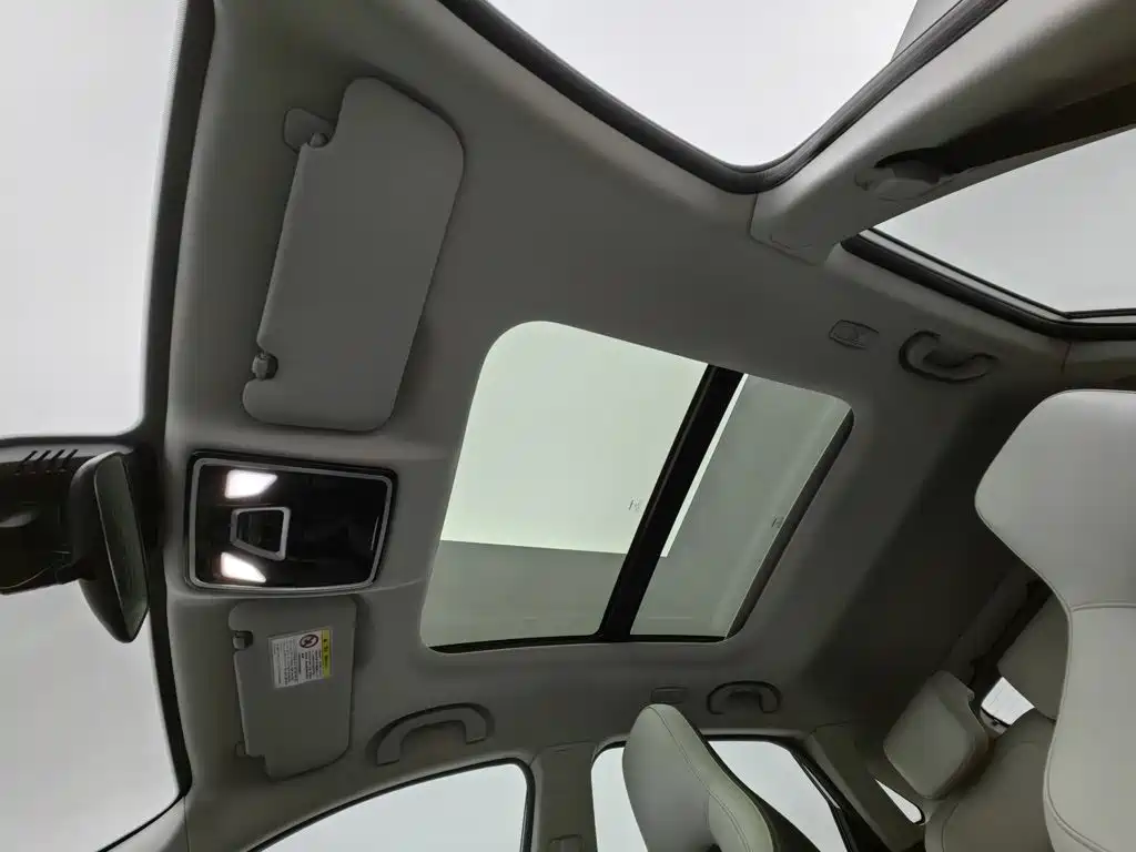Weltmeister EX5 2020 2019 EX5 Lite Explorer Edition 400