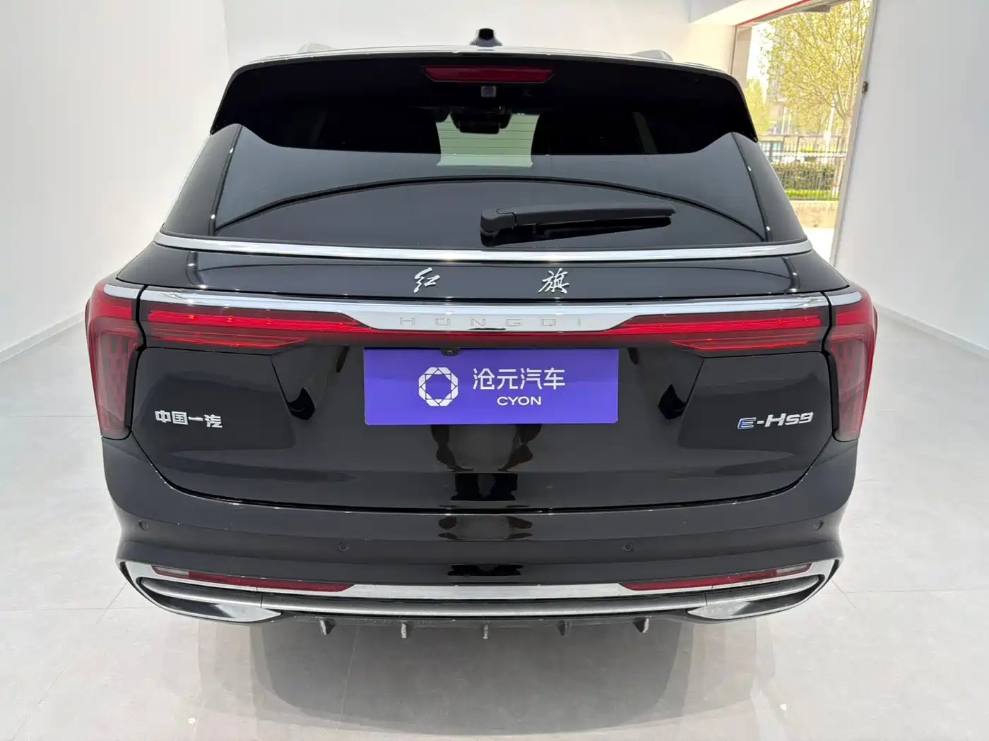 Hongqi E-HS9 2022 660km Qi Chang Edition (6-seater) фото 5