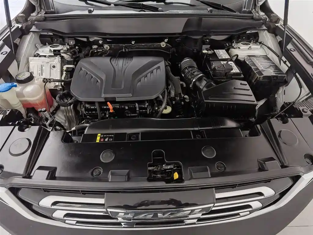 Haval Big Dog 2021 2.0T DCT AWD Howling Celestial Dog Edition фото 6
