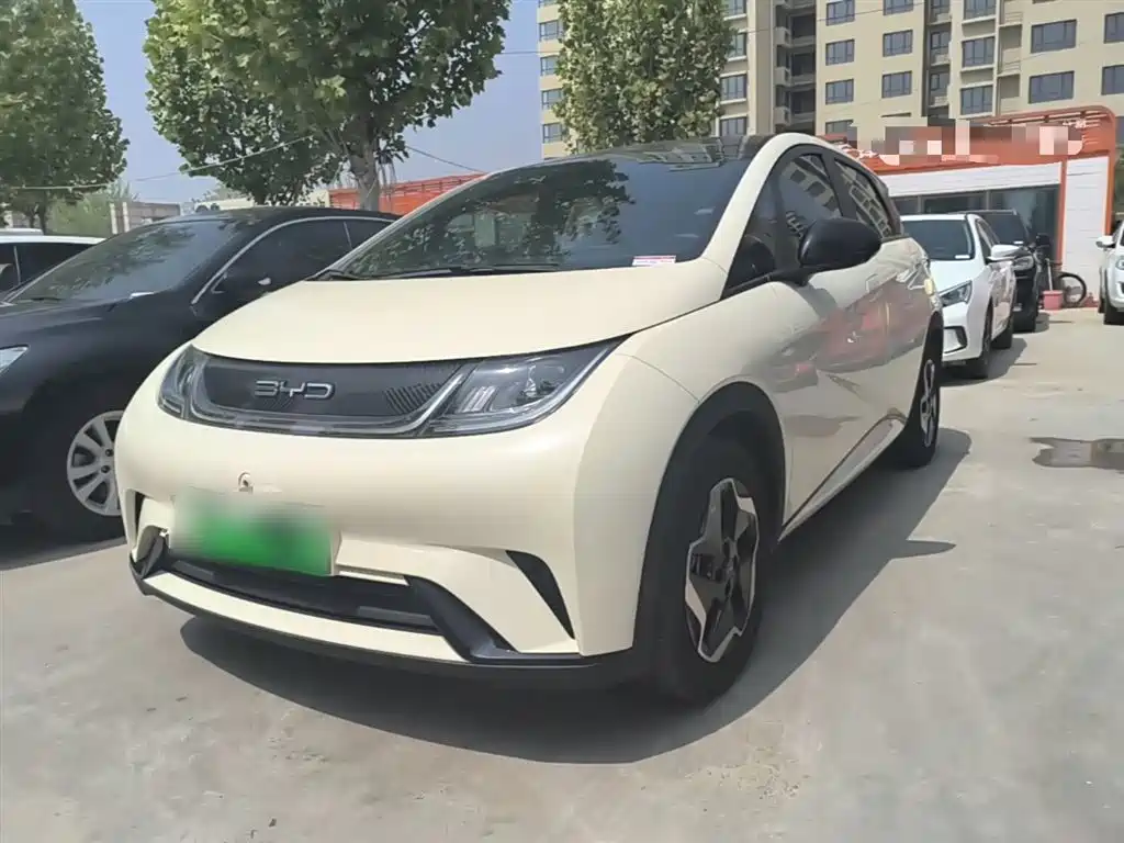 BYD Dolphin 2021 Model 405km Fashion Edition