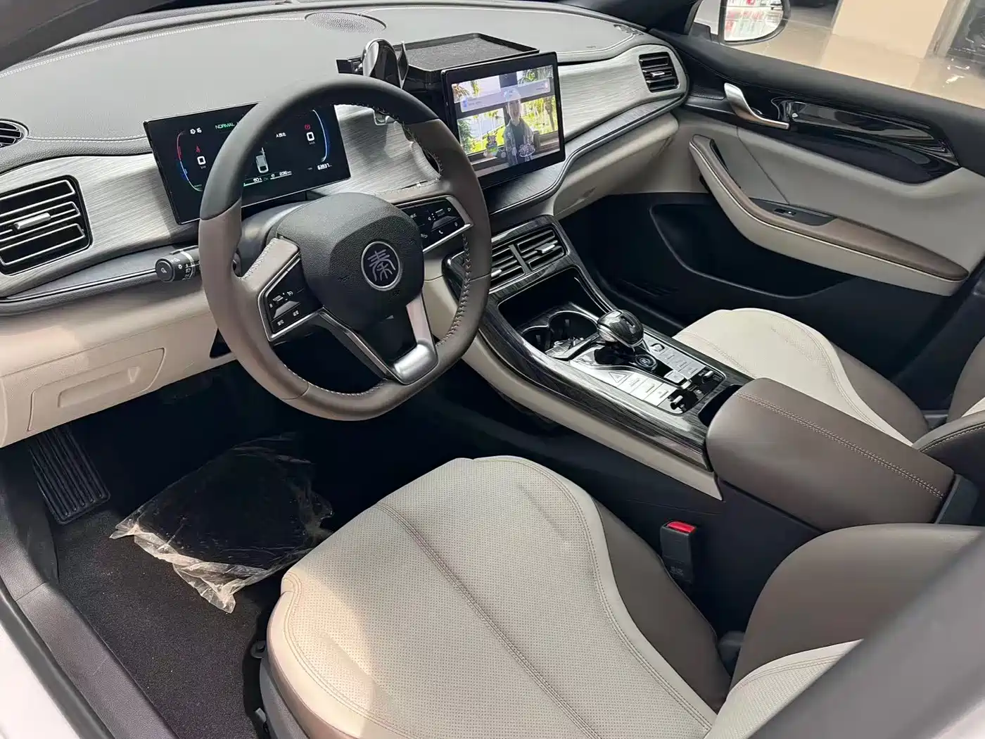BYD Qin PLUS 2023 Champion Edition DM-i 55KM Leading фото 9