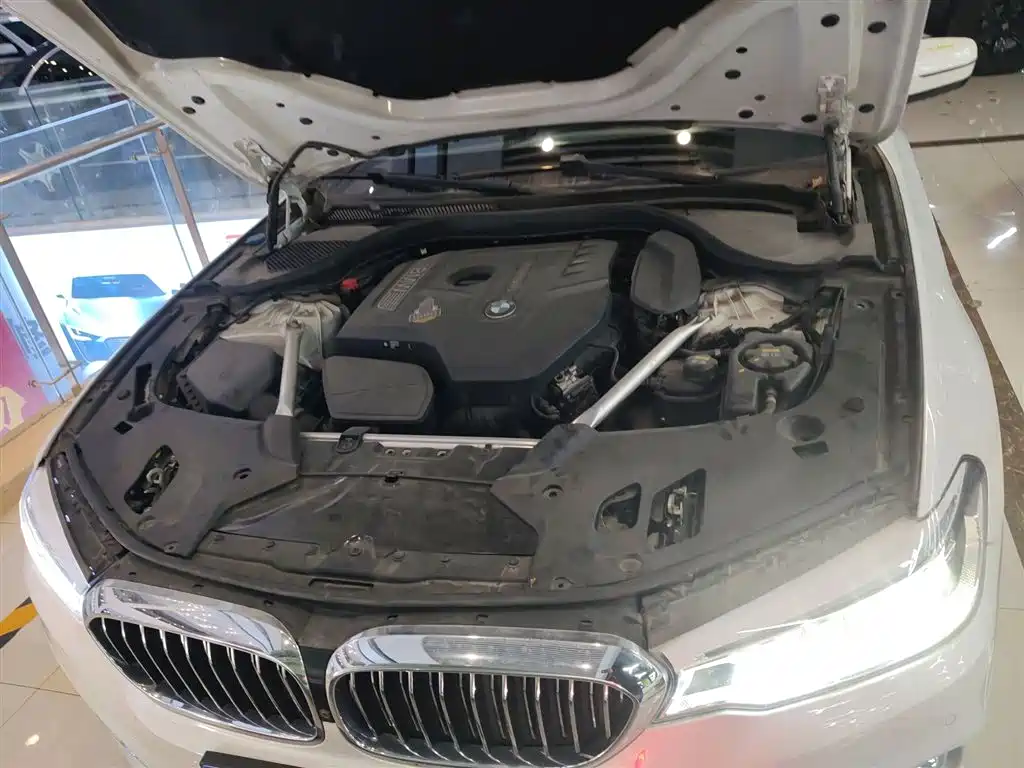 BMW 5 Series 2020 530Li Premium Luxury Package фото 20
