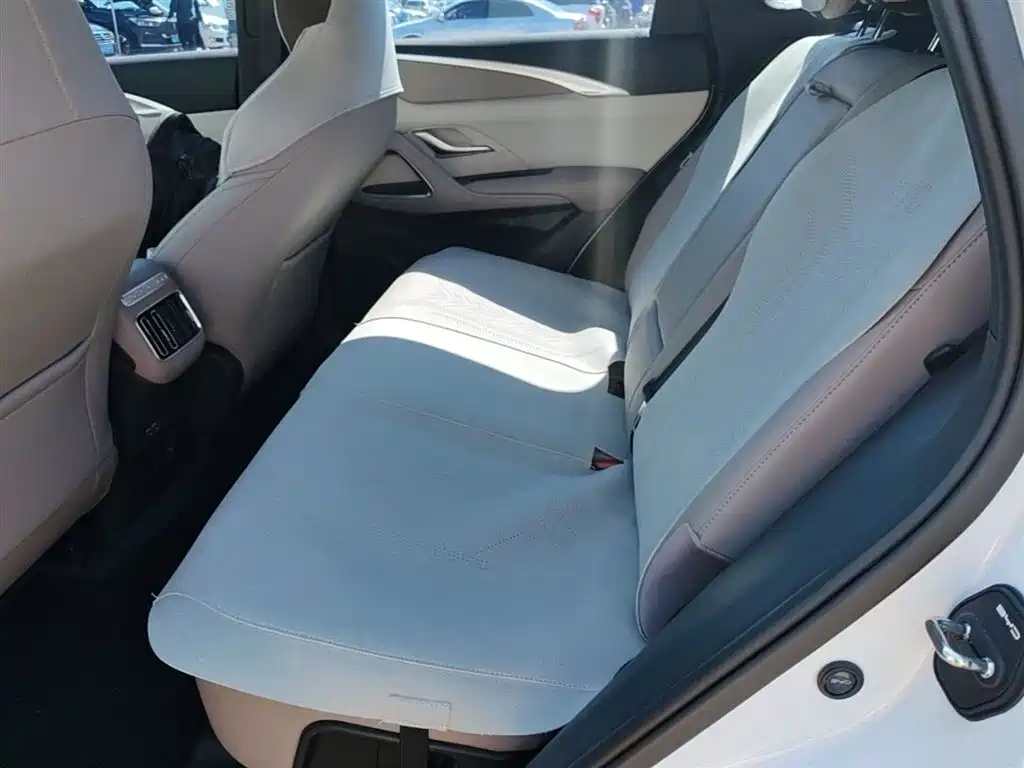 BYD Song Pro New Energy 2024 Glory Edition DM-i 71KM Pilot фото 17