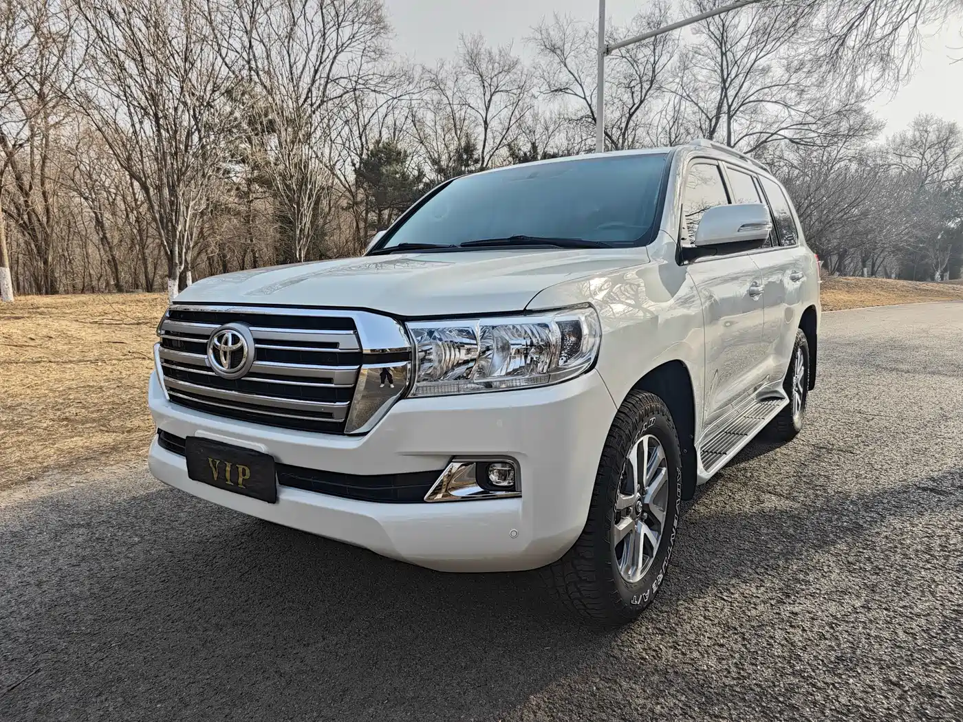 Toyota Land Cruiser (Import) фото 2