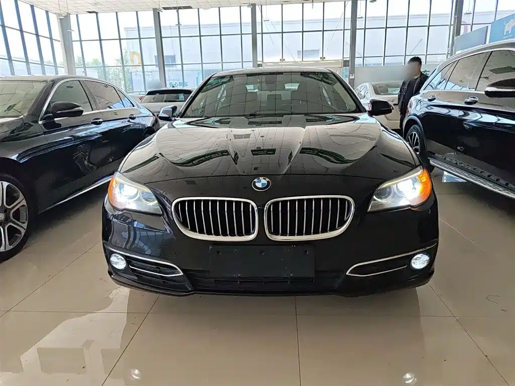 BMW 5 Series 2017 525Li Luxury Design Package фото 3
